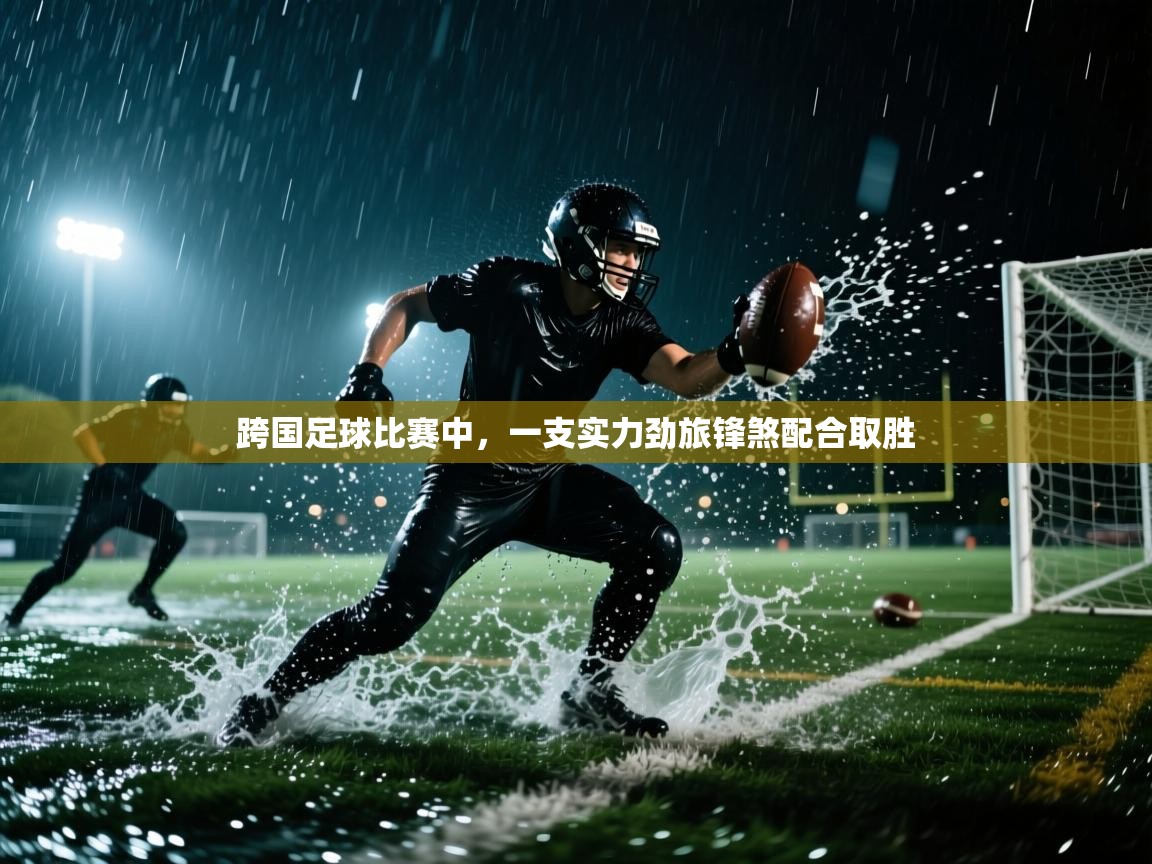 跨国足球比赛中,一支实力劲旅锋煞配合取胜 第2张
