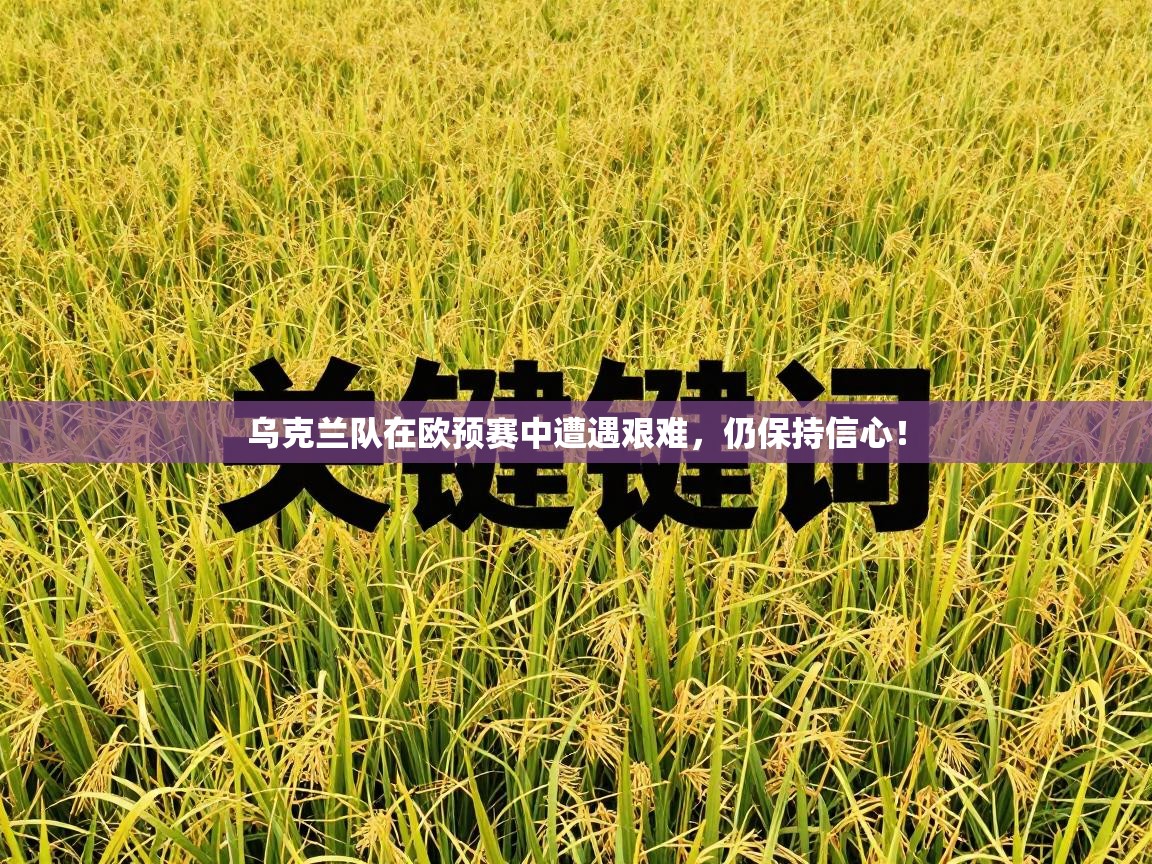 乌克兰队在欧预赛中遭遇艰难,仍保持信心! 第2张