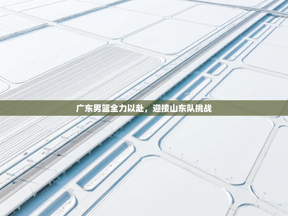 广东男篮全力以赴，迎接山东队挑战  第2张